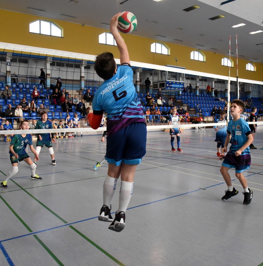 W hali widowiskowo-sportowej w Międzyrzeczu odbył się...