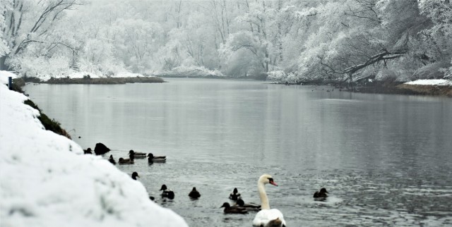 Zima zawitała do Oświęcimia. Pogoda zachęca do spacerów