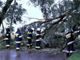 Orkan Ksawery w Wielkopolsce. Może mocno powiać w Złotowie