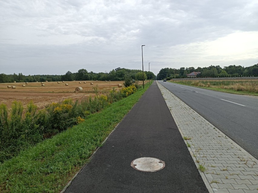 Droga powiatowa Wieluń-Turów