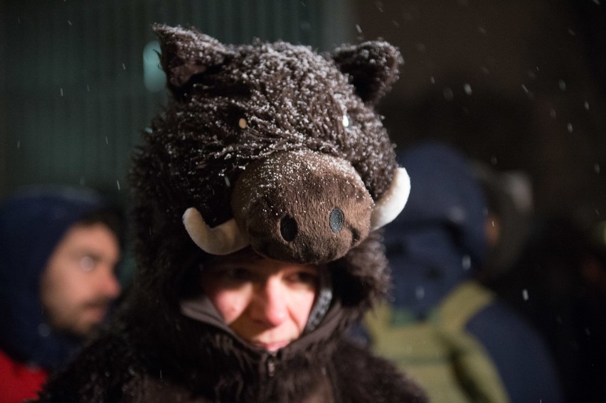 Protest przeciw odstrzałowi dzików pod Sejmem (9/01/2019)