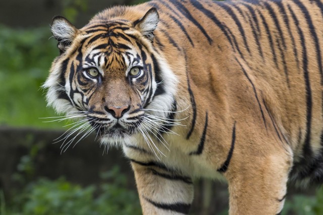 Zoo Warszawa zdjęcia zwierząt