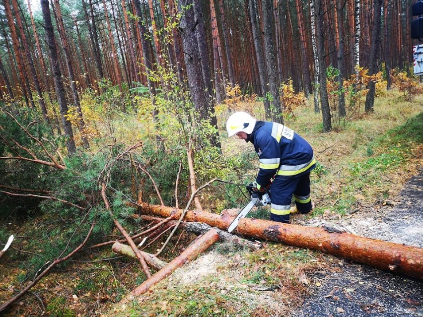 Wichura przechodzi przez Rypin i powiat rypiński. Wiatr zrywa dachy i przewraca drzewa [zdjęcia, 22.10.21]