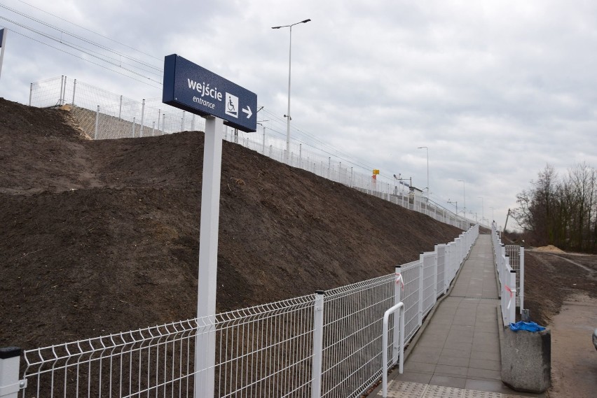Nowy peron z pochylnią w Wieluniu służą podróżnym. Powstaną jeszcze schody. Kiedy pojadą tutaj pociągi z Krakowa do Poznania? ZDJĘCIA