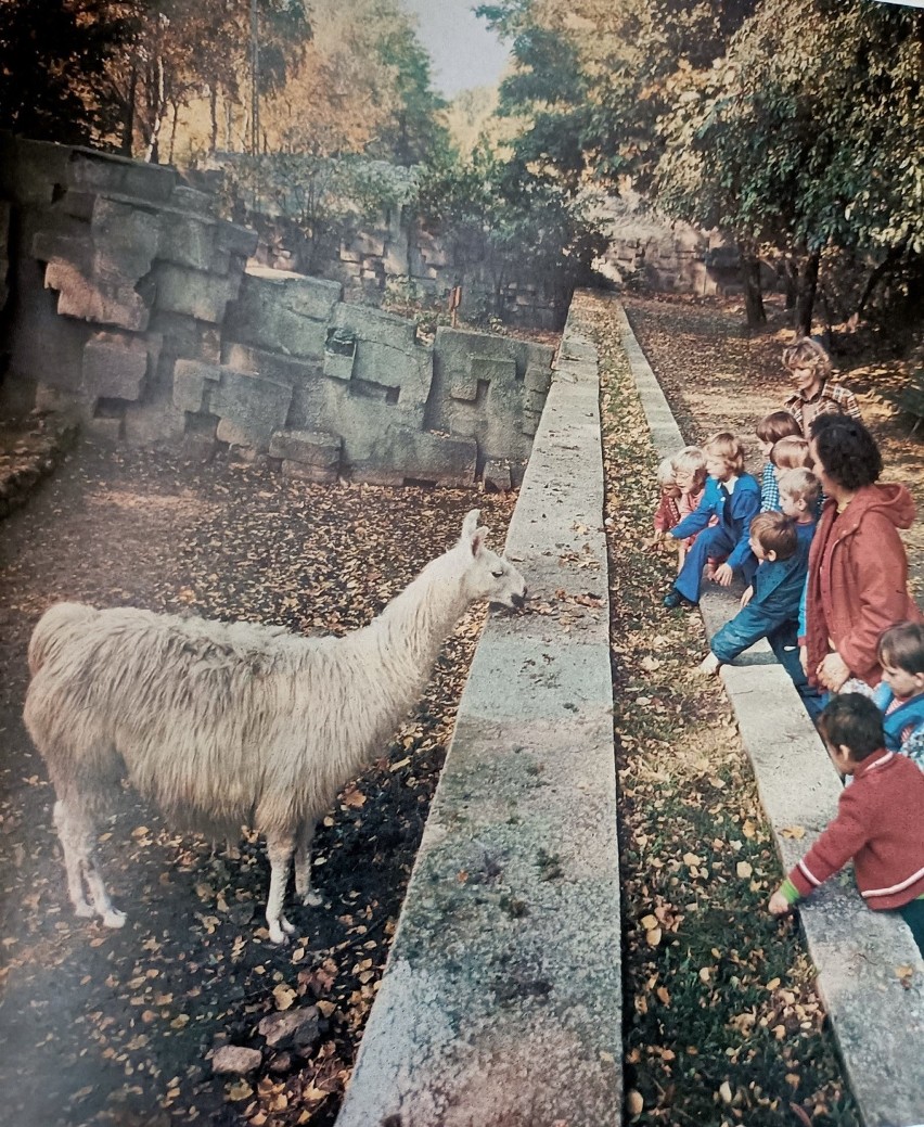 W łódzkim zoo...