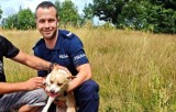 Policjanci uratowali dwa psy, które wpadły do studni w Brodach