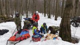 Ratownicy GOPR i strażnicy graniczni pomogli rannemu turyście w okolicach szczytu Borsuk w Bieszczadach [ZDJĘCIA]