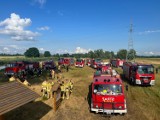 Ćwiczenia taktyczno-bojowe strażaków z powiatu śremskiego. Tematyka ćwiczeń dotyczyła akcji gaśniczych na obszarach leśnych [zdjęcia]