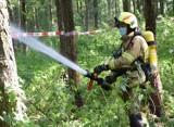 Gm. Nowy Staw. Strażacy i terytorialsi z malborskiego batalionu ćwiczyli w lesie [ZDJĘCIA cz. 2]