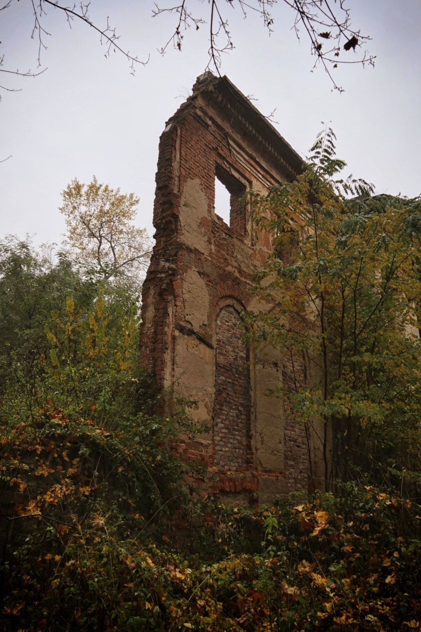 Niesamowite ruiny ukryte pośród drzew w Pątnowie koło...