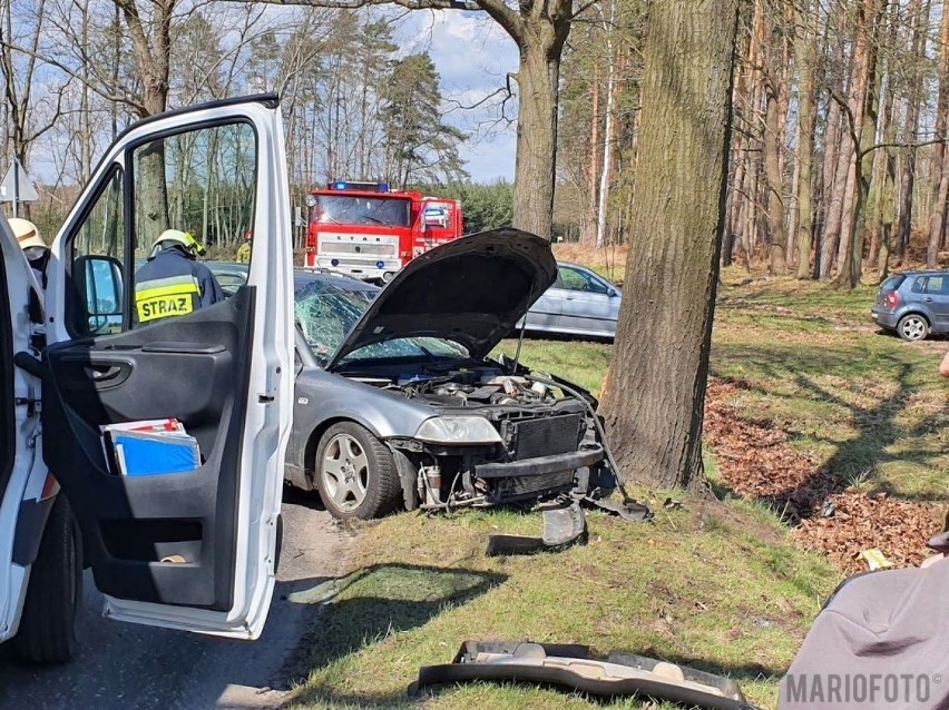 Wypadek na trasie Antoniów-Dylaki. Volkswagen passat uderzył w drzewo. Poszkodowane zostały dwie osoby, jedna uciekła do lasu