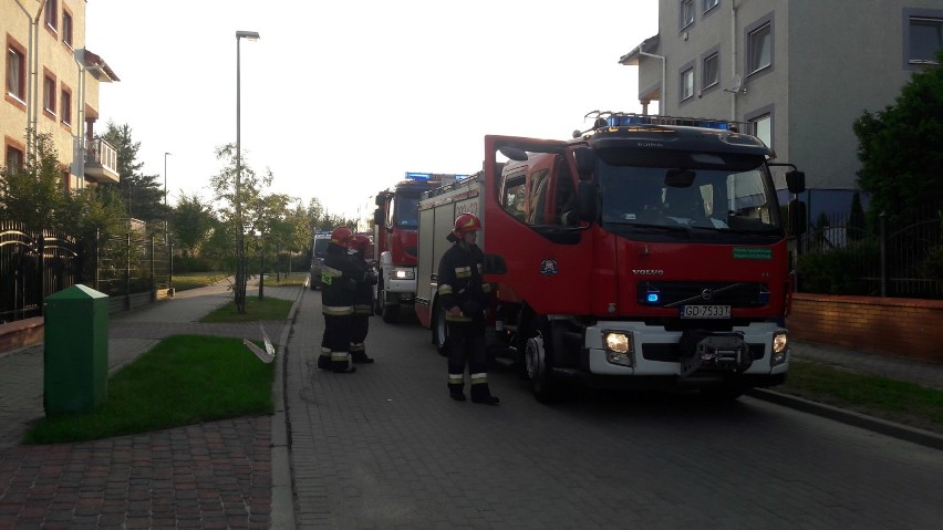 Pożar na os. Kolorowym w Gdańsku. Zapalił się skład drewna [zdjęcia]