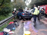 Tragiczny wypadek w Niewierzu na DK 15. Pięć osób nie żyje [ZDJĘCIA, AKTL.]