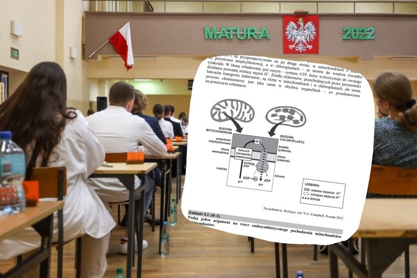 Jakie są pewniaki maturalne na maturze z biologii?