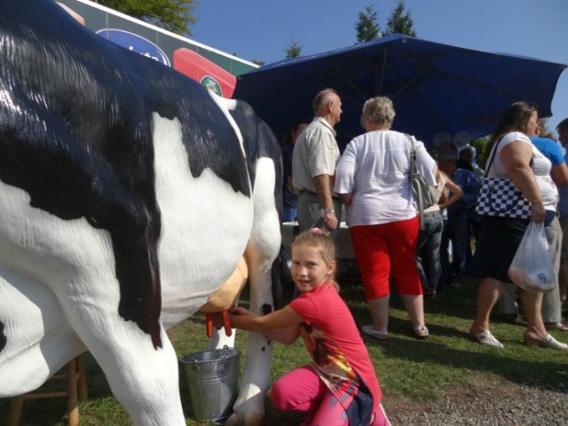 Święto Mleka OSM Maluta 2014