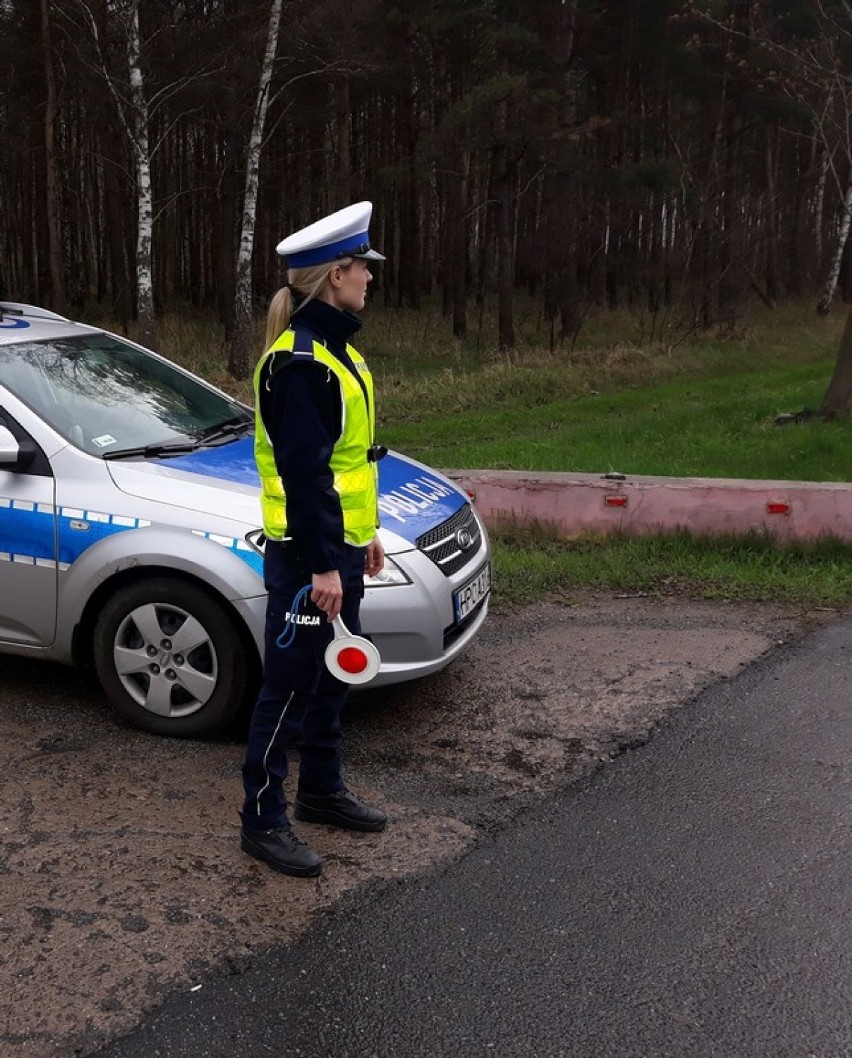 Akcja Pasy w powiecie aleksandrowskim [zdjęcia]