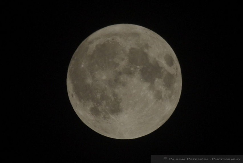 "Super księżyc" o (2:30) nad Częstochową Fot. Paulina...