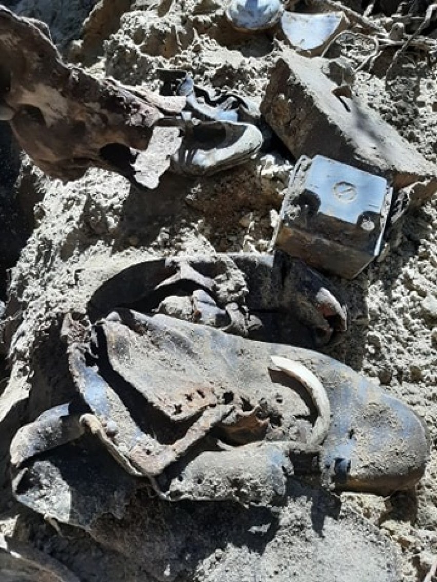 Archeolodzy znaleźli zbiorową mogiłę żołnierską w Osowcu Lęborskim. To zabici przez Rosjan Niemcy [ZDJĘCIA]