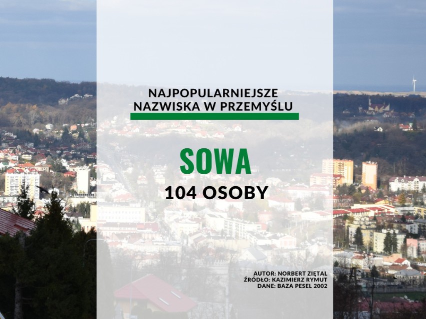 20. miejsce: Sowa - 104 osoby.