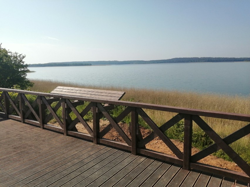 W Wigierskim Parku Narodowym, nad jeziorem Wigry powstała nowa platforma widokowa (Zdjęcia, mapa)