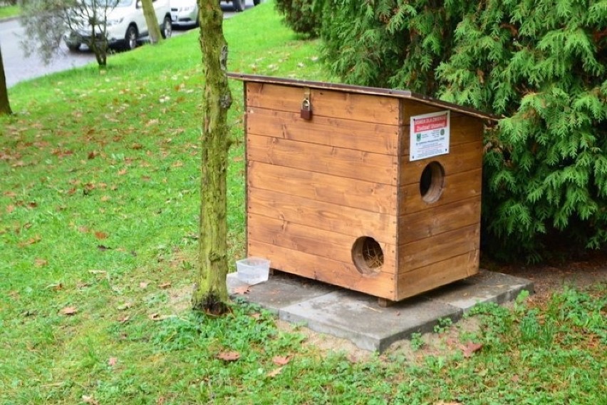 W Jastrzębiu powstanie więcej domków dla miejskich kotów. Trwają konsultacje ze spółdzielniami