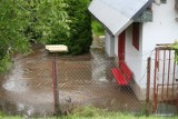 Stalowa Wola. Pękła rura kanalizacyjna średnicy dwóch metrów, brudna woda zalała ogródki działkowe (ZDJĘCIA)