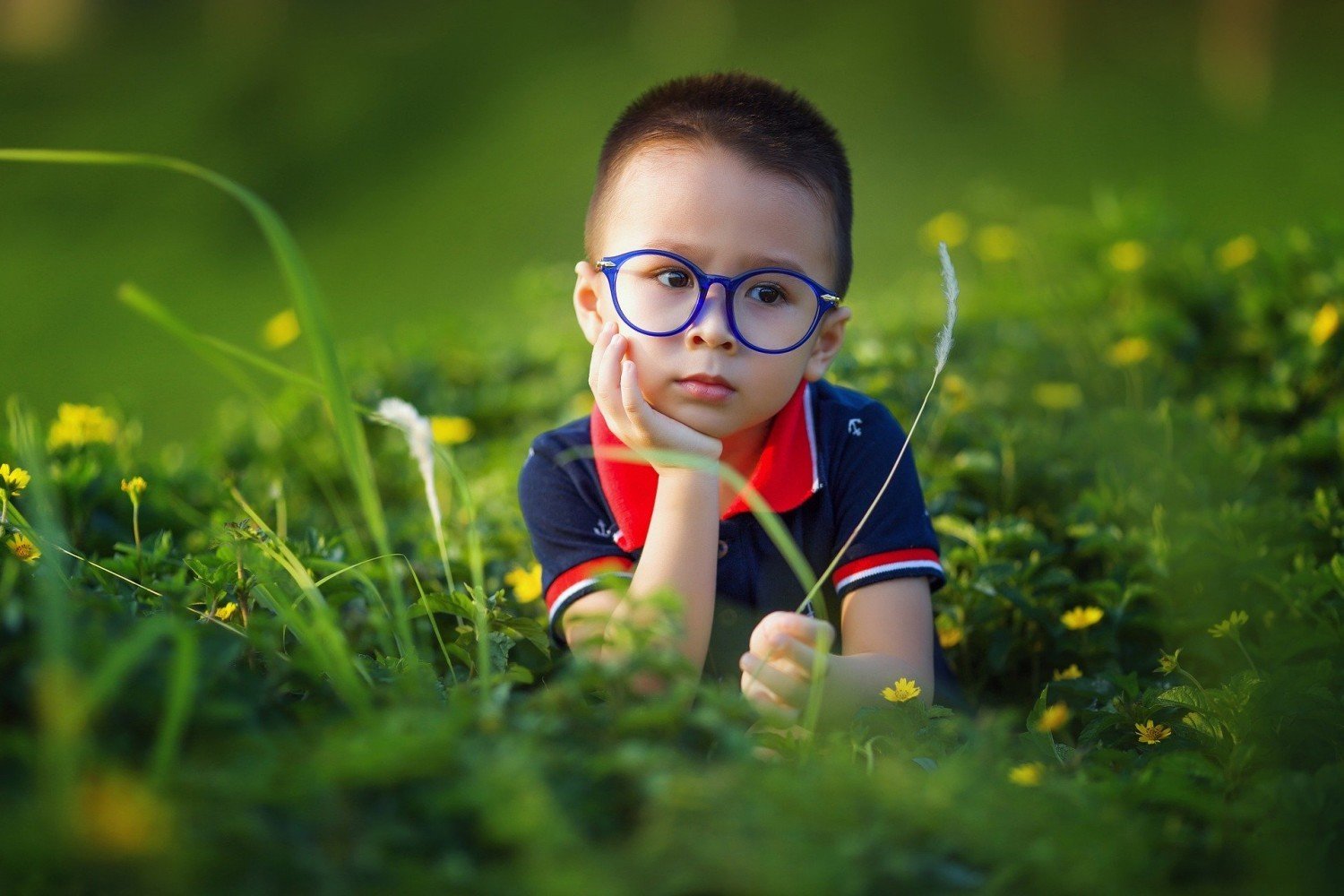 Coraz więcej dzieci musi nosić okulary. Jak prawidłowo dbać o wzrok? |  Kalisz Nasze Miasto