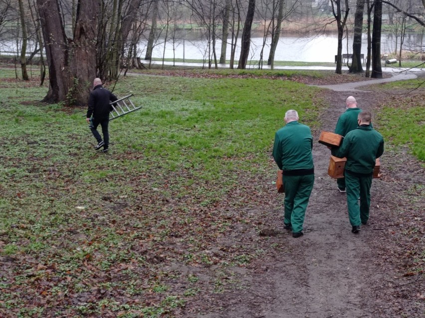 Osadzeni zamontowali budki w oleśnickim parku