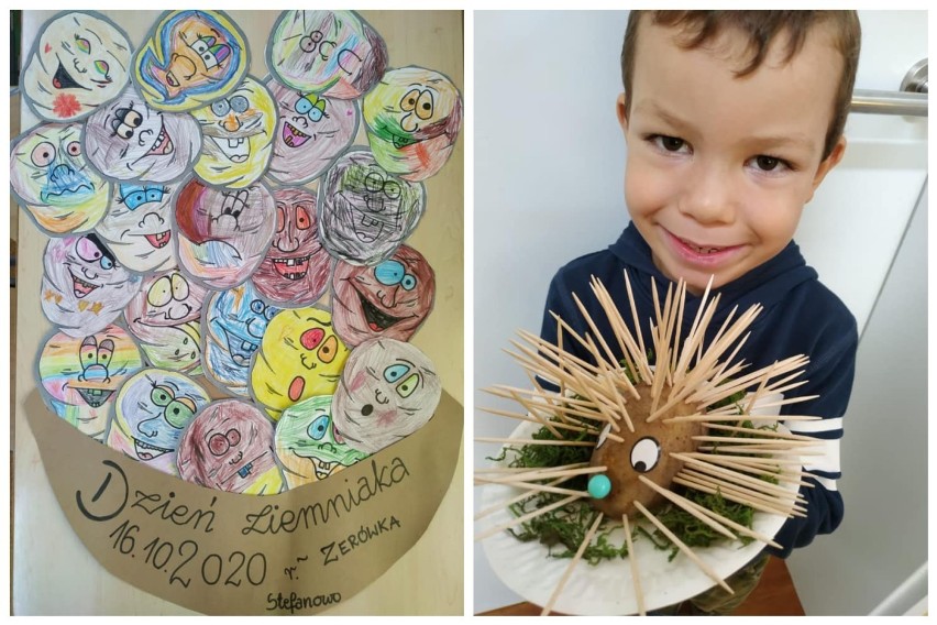 Zbąszyń: ZSP Przyprostynia - Dzień ziemniaka  u 6-latków w przedszkolu Stefanowo - 16 października 2020  [Zdjęcia]