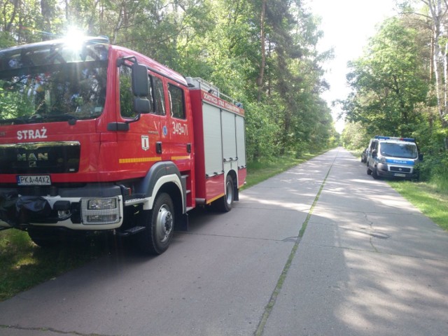 W lesie w okolicach Borowa odnaleziono kilkadziesiąt niewybuchów