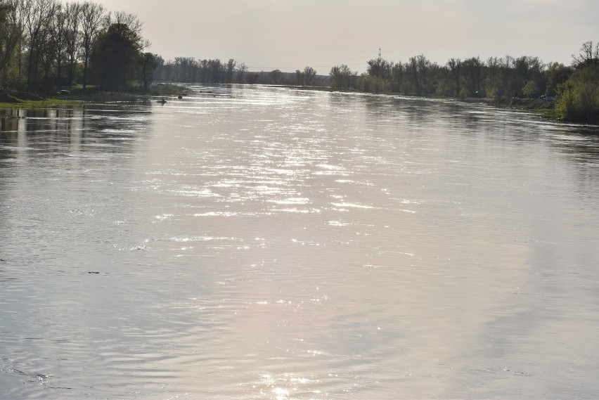 Odra znów jest wyższa w Krośnie Odrzańskim. Port ponownie...