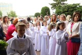 Toruń. Uroczystość przyjęcia I Komunii Świętej w Parafii NMP Częstochowskiej. Zobacz zdjęcia!