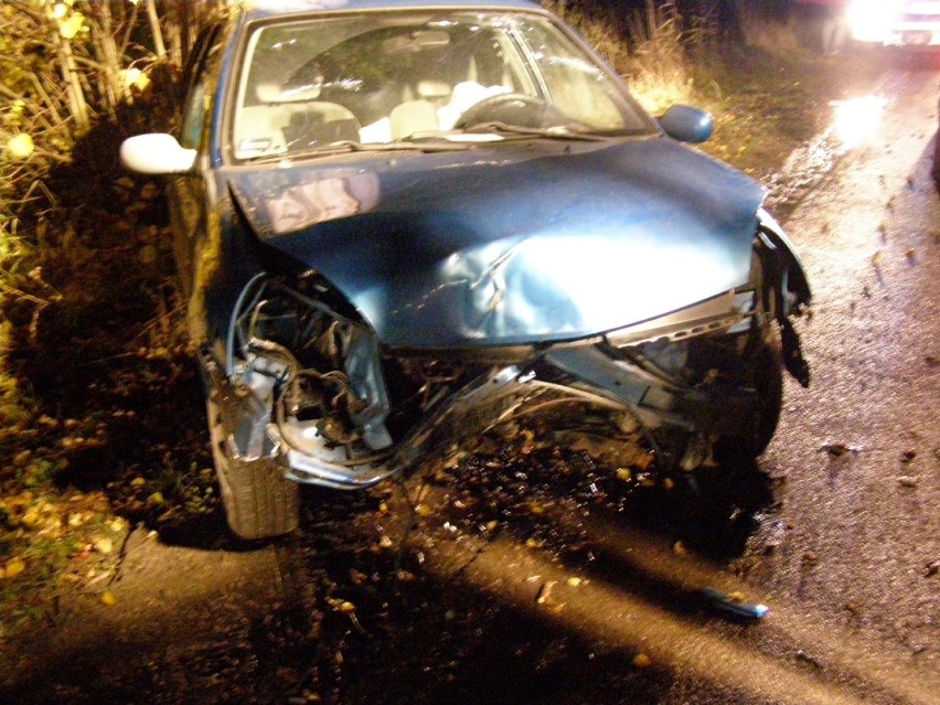 Wypadek między Lisewem Malborskim a Starą Wisłą. Renault uderzył w drzewo