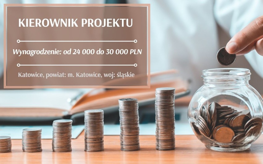 Tutaj zarobisz ponad 20 tys. miesięcznie! Oto najlepsze oferty pracy z woj. śląskiego. Pracodawcy szukają lekarzy, kierowców, księgowych...