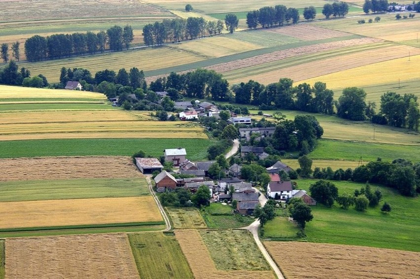 Połowa (gmina Polska Cerekiew)

Liczba mieszkańców - 60