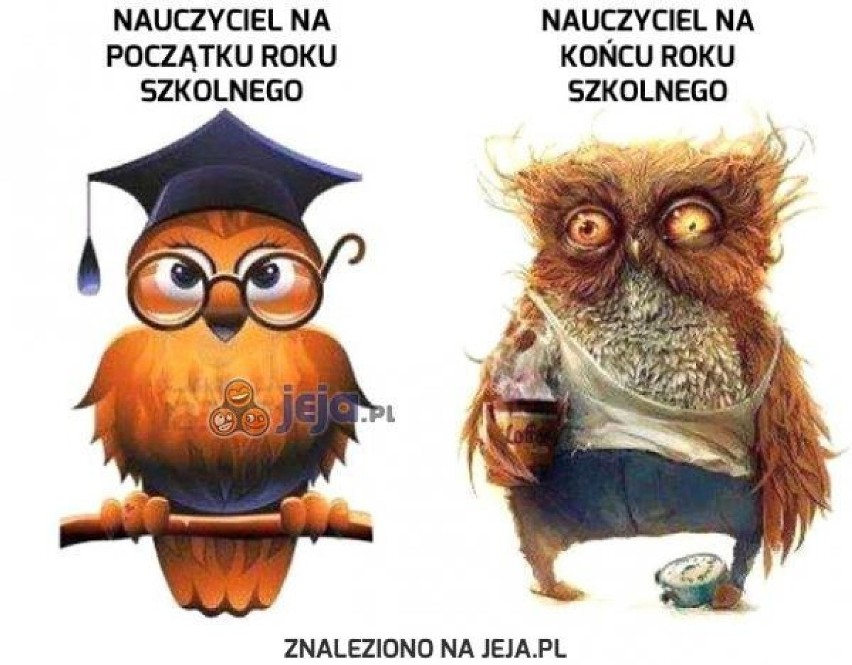 Śmieszne obrazki na Dzień Nauczyciela 2022...