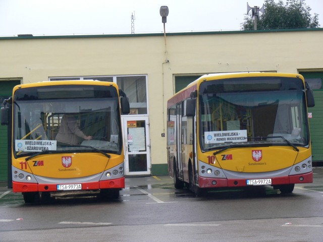 W autobusach komunikacji miejskiej w Sandomierzu limit dostępnych dla pasażerów miejsc wynosi 30 procent  liczby wszystkich miejsc siedzących i stojących. Ograniczenie liczby dostępnych miejsc ma związek z pandemią.