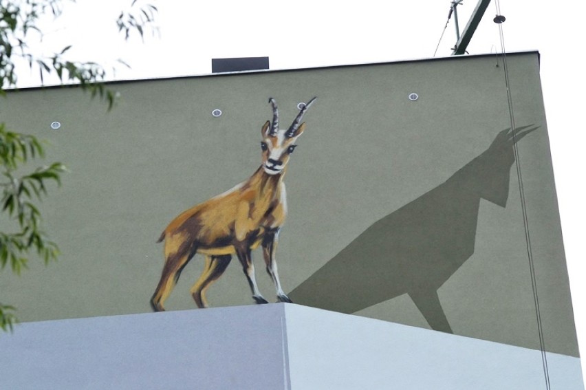 mural w bielsku kozica