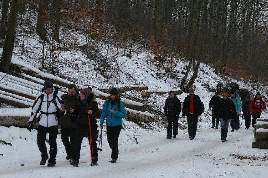 Udana, zimowa, IV Sudecka Żyleta. Z Łomnicy na trasę maratonu pieszego wyruszyło ponad 400 osób