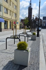 W centrum Nysy coraz więcej zieleni miejskiej. Zobacz nowe kwietniki i stojaki na rowery