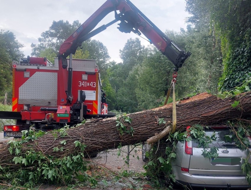 Gwałtowny wiatr powalił drzewo na samochód! Mamy zdjęcia z akcji strażaków w Toruniu!
