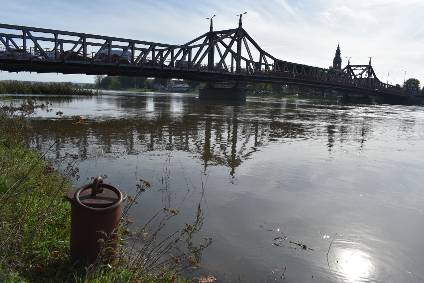 Odra w Krośnie Odrzańskim i Połęcku sięga coraz wyżej....