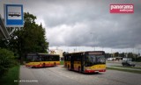 Wałbrzych: Tymi autobusami dojedziecie na Festiwal Kwiatów i Sztuki do Książa