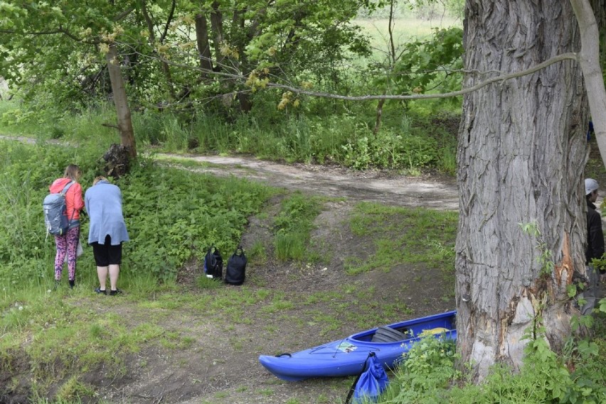 Trwa sezon kajakowy na rzece Rawce. Na rzece pełno wodniaków [ZDJĘCIA, FILM]