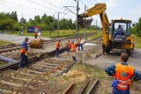 Niezbędnik komunikacyjny Gdyni. Radzimy jak podróżować po Gdyni