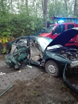 Malbork, Nowa Wieś. Kierowcy "ulotnili się" po wypadku i kolizji. Policja ustala, dlaczego uciekli