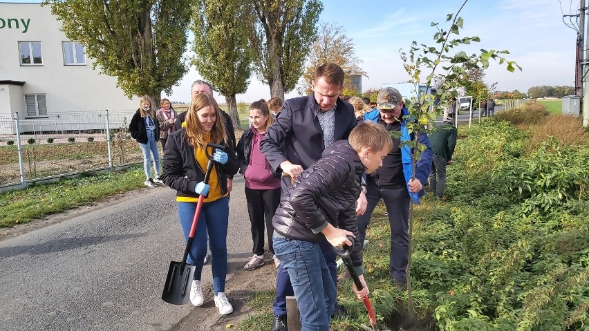 Wielkie sadzenie drzew miododajnych w Stawiszynie. ZDJĘCIA