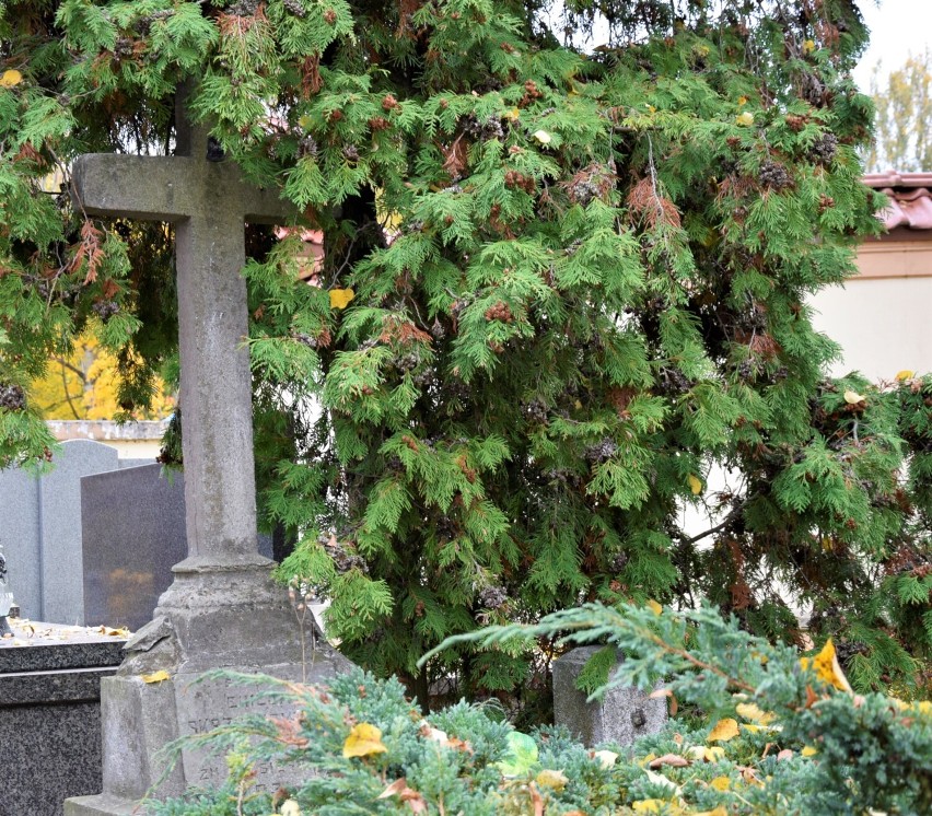 Okruchy pamięci. Cmentarz św. Józefa w Skierniewicach przed Świętem Zmarłych