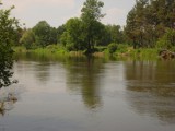 Kemping nad Wieprzem ma być atrakcją regionu (ZDJĘCIA)