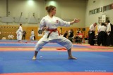 European Open Karate Cup & Championships